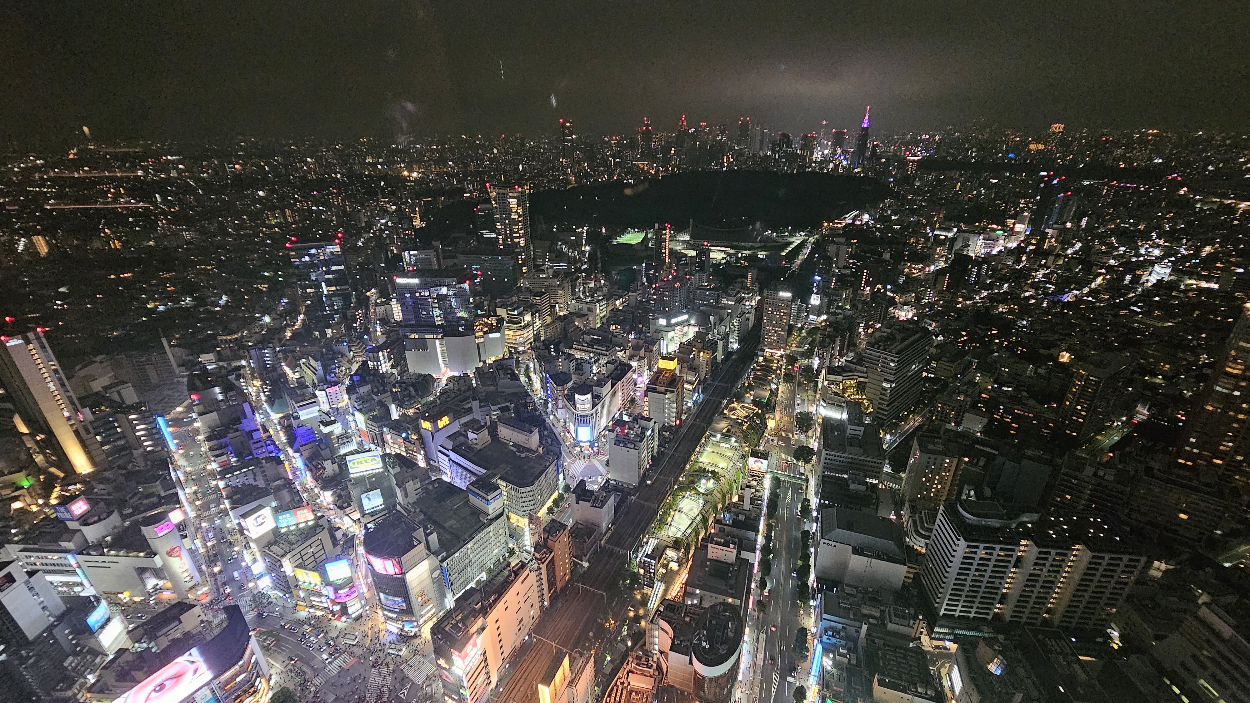 20241006_203536.jpg