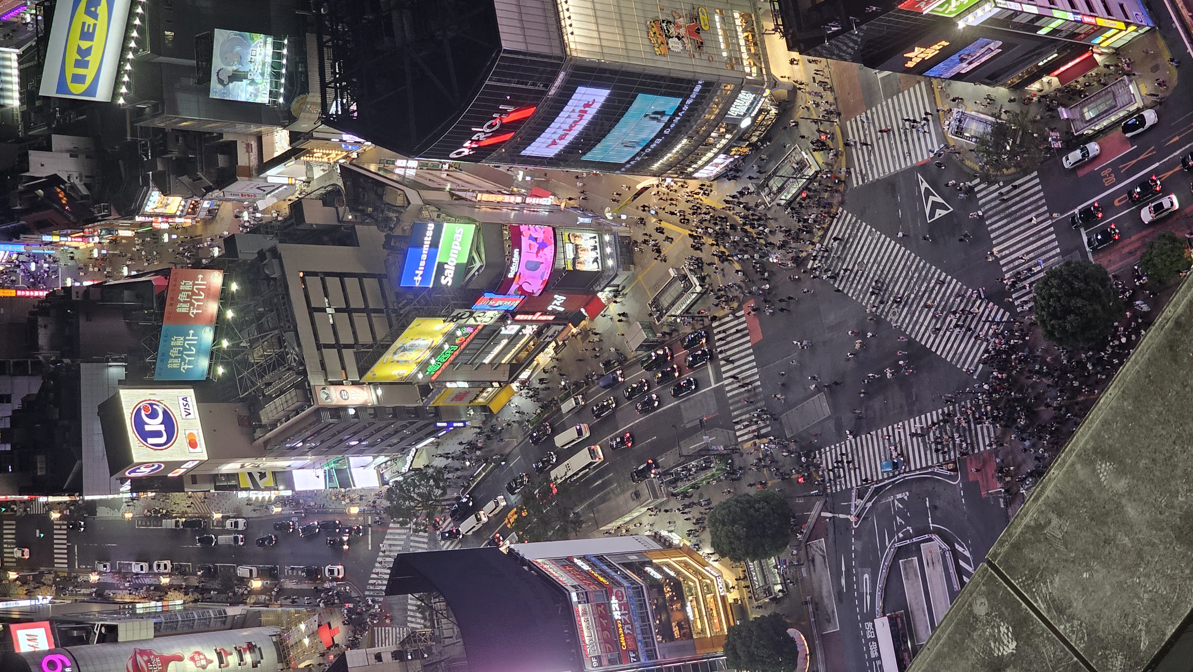 20241006_203816.jpg