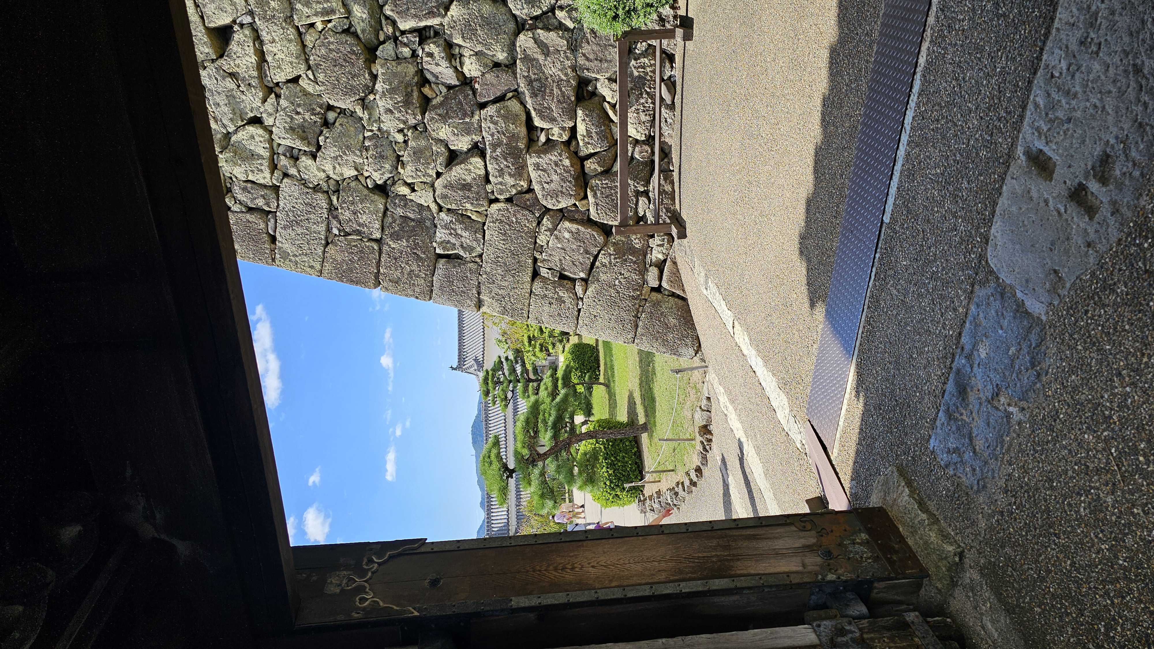 20241012_122643.jpg