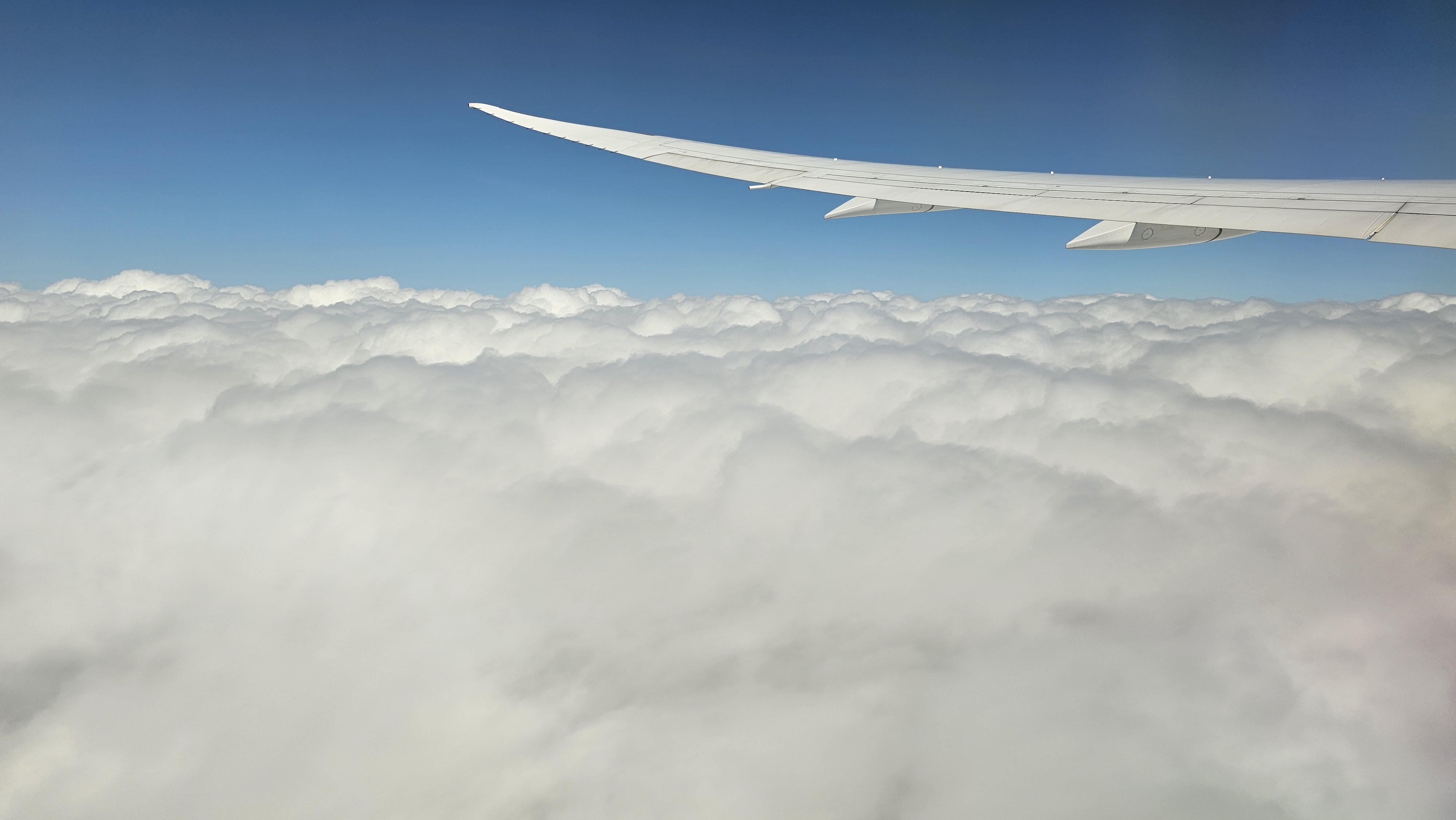 20241017_110103.jpg