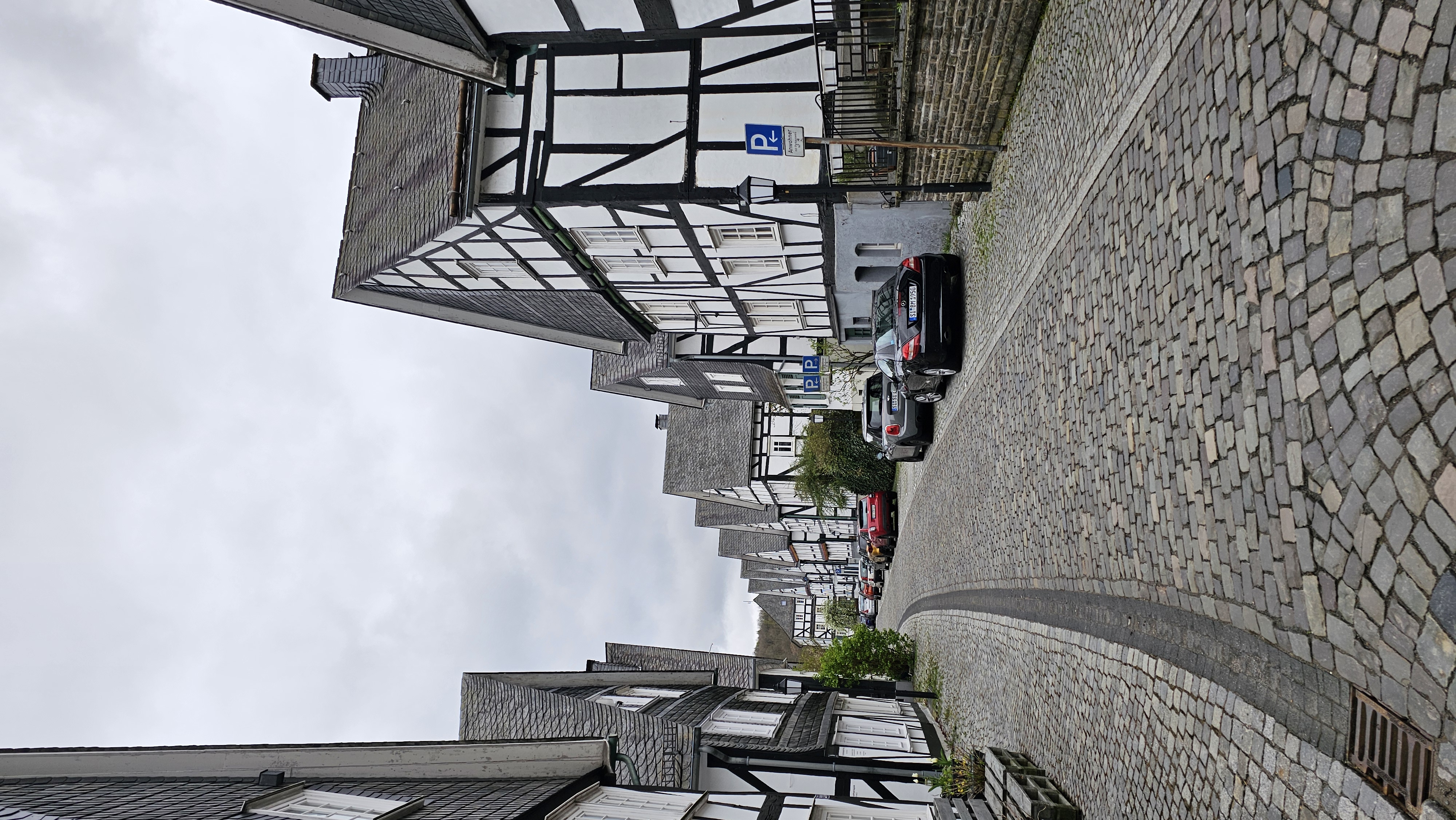 20250418_124412.jpg