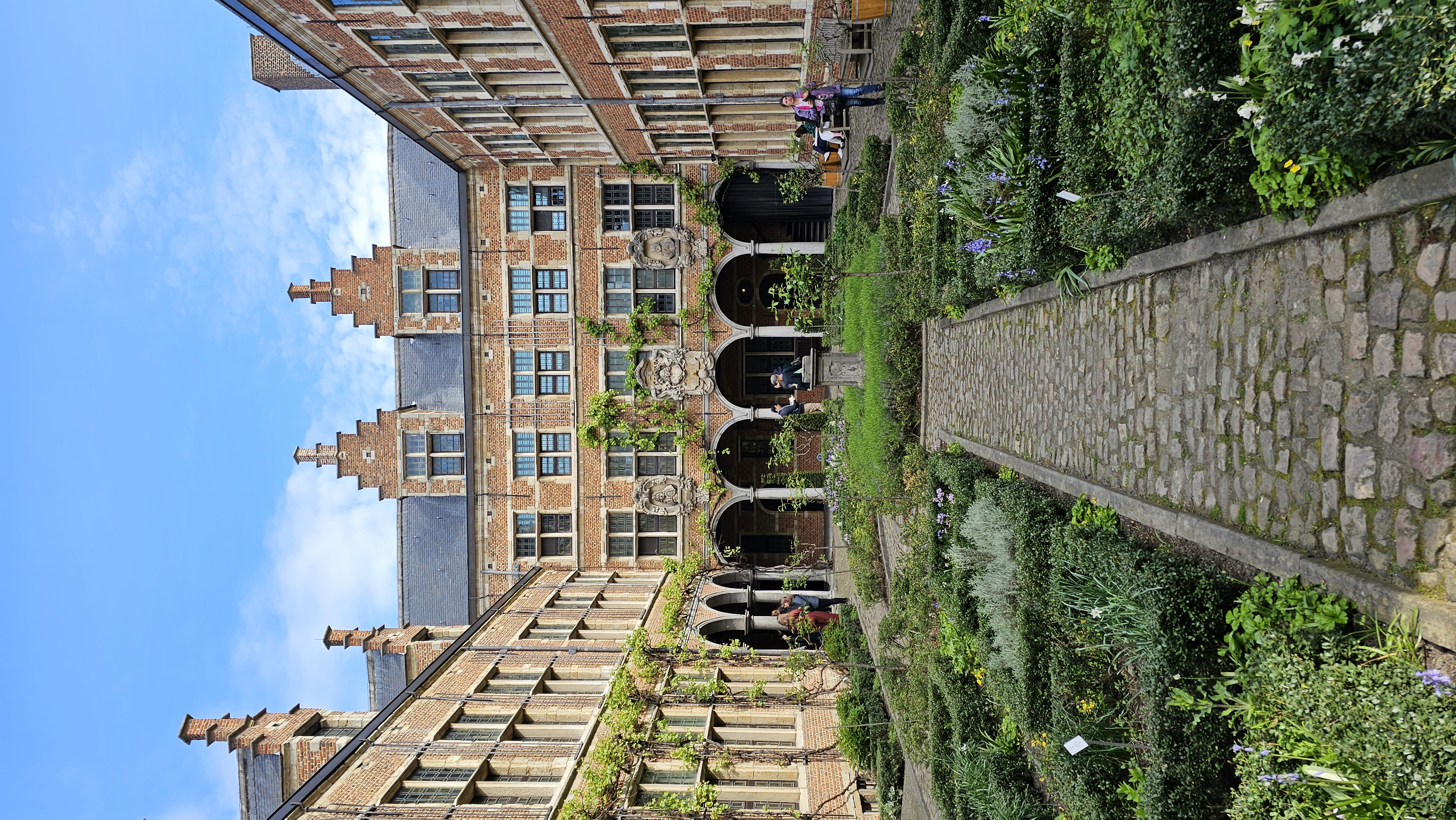 20250420_113652.jpg
