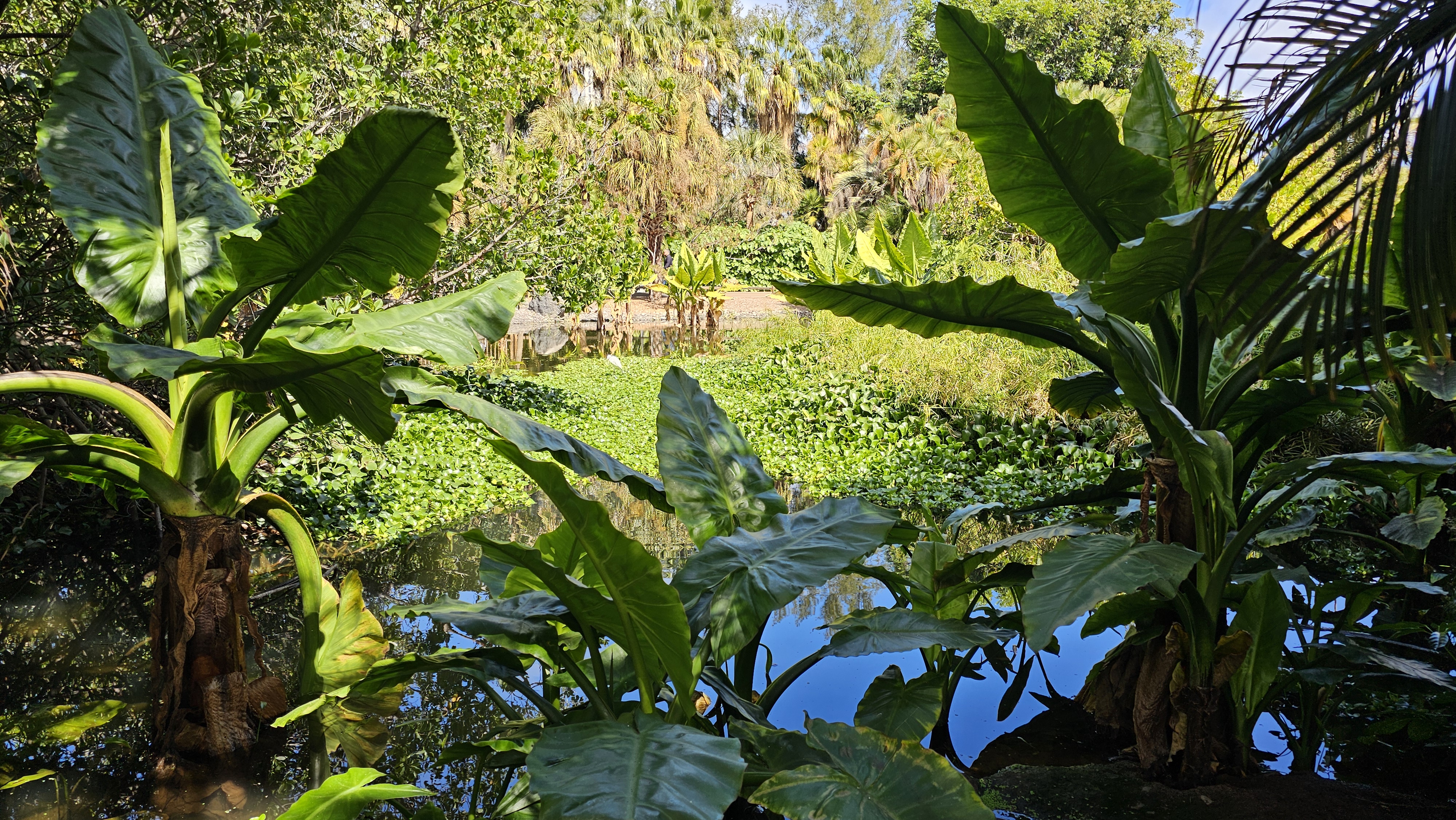 20250219_125535.jpg