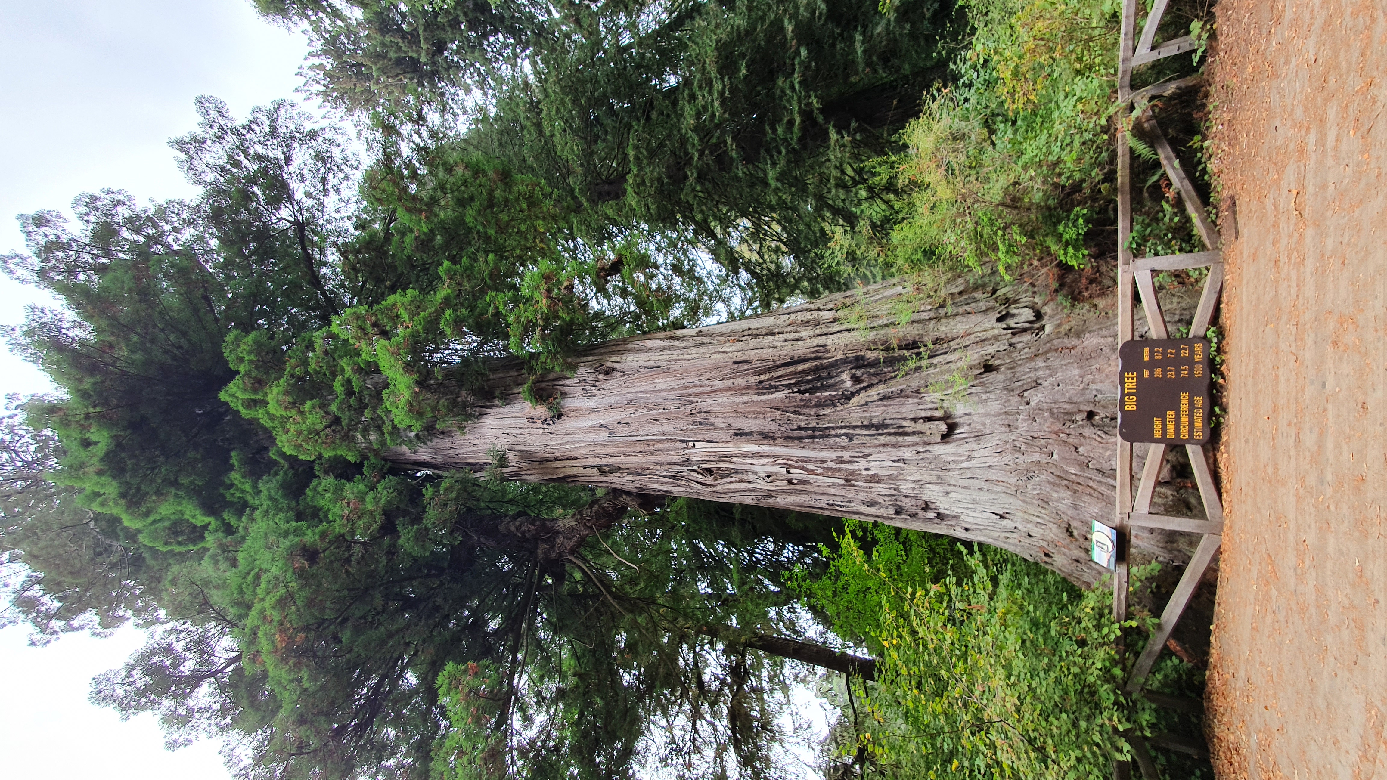 20221021_145639.jpg