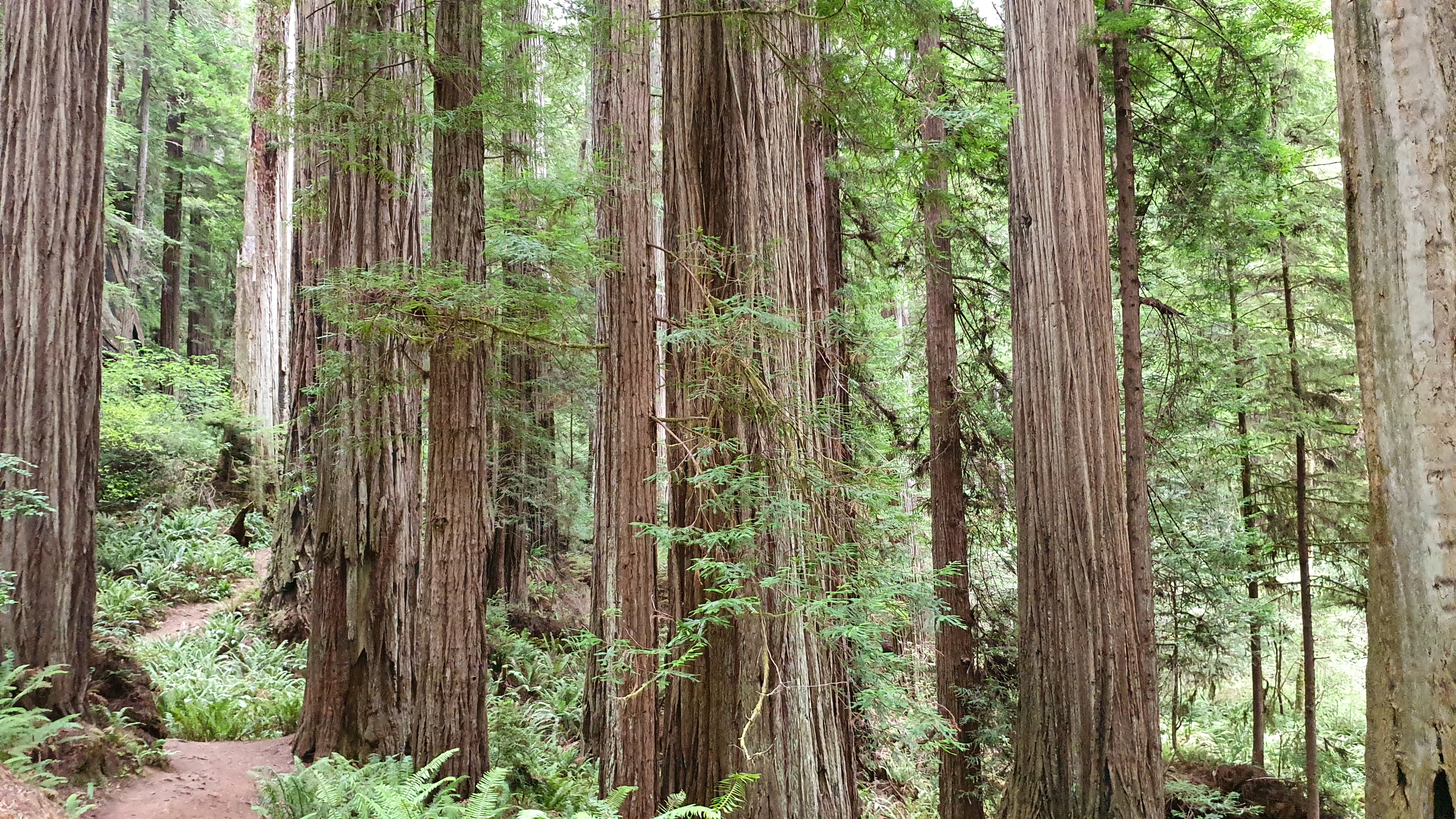 20221021_151341.jpg