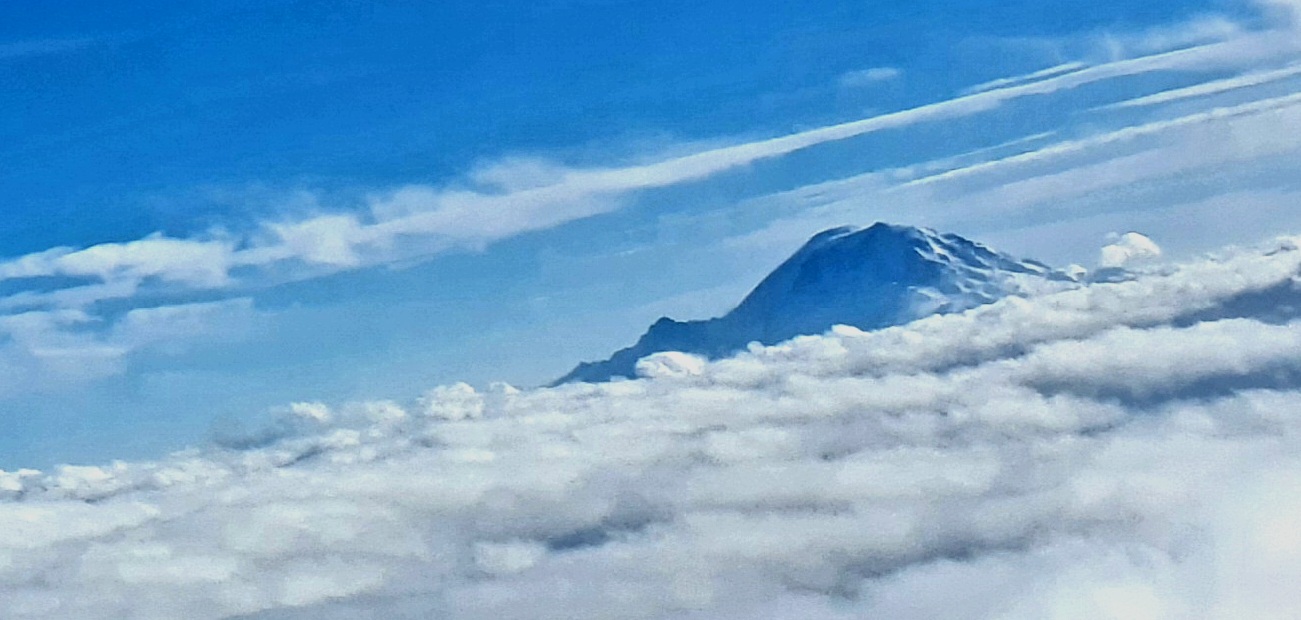 20221027_215813.jpg