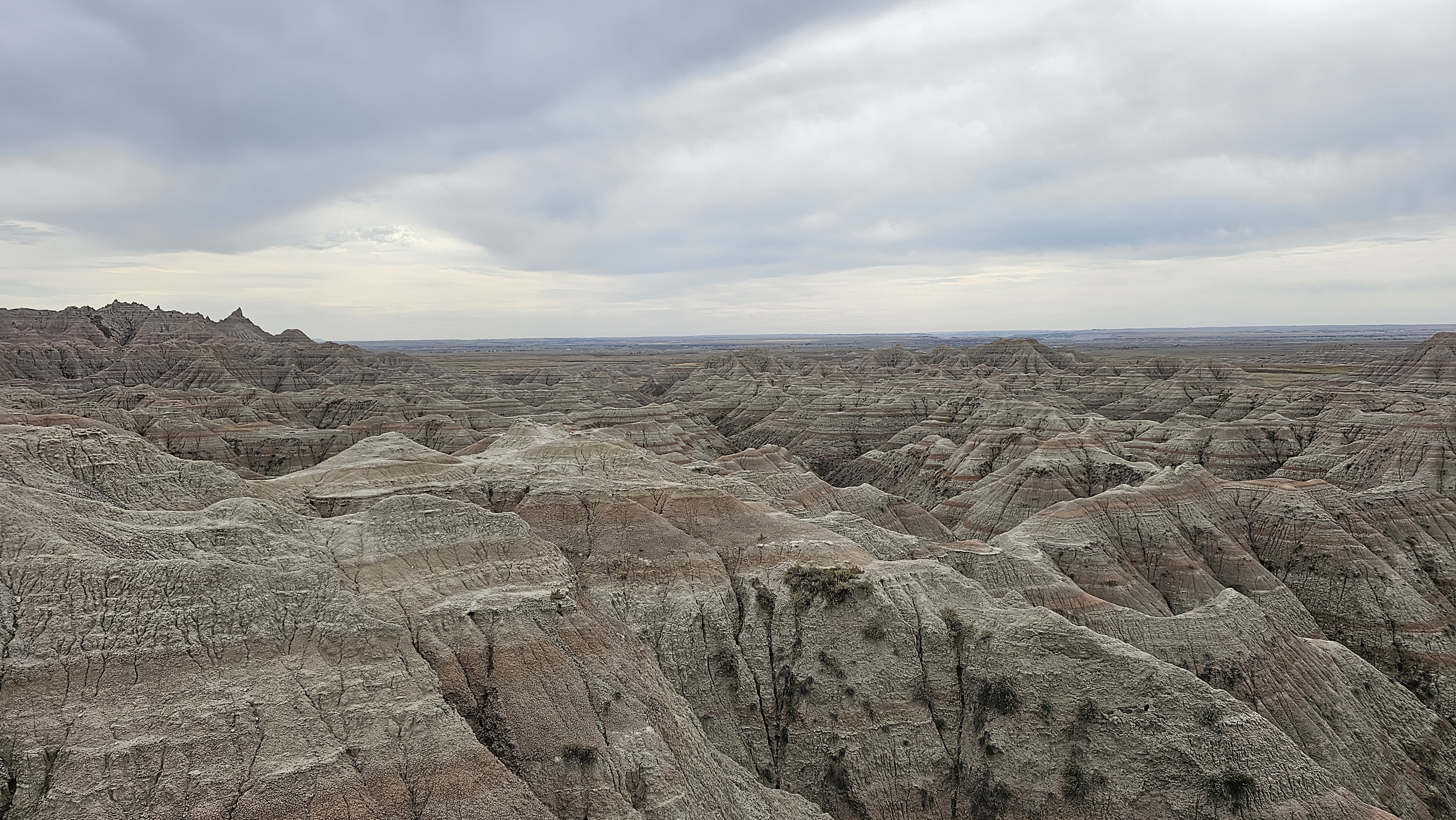 20231011_113015.jpg